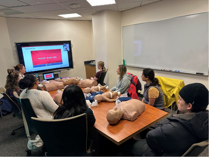 American Red Cross BLS renewal class with instructor and students practicing CPR techniques